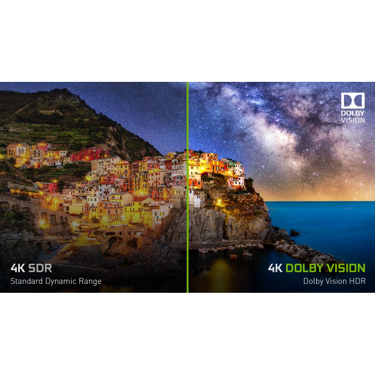Passerelle multimédia Shield TV Pro couleur unique, NVIDIA