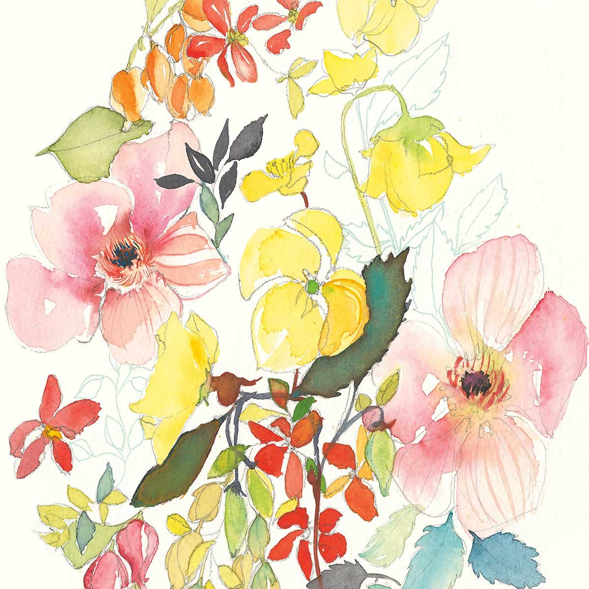 Tableau fleurs boutons d'or tableau alu dibond, HEXOA