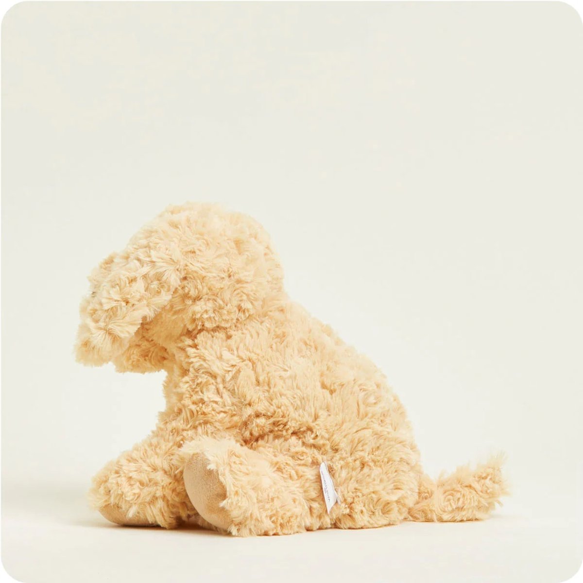 Peluche Bouillotte Chien bouclé beige, WARMIES