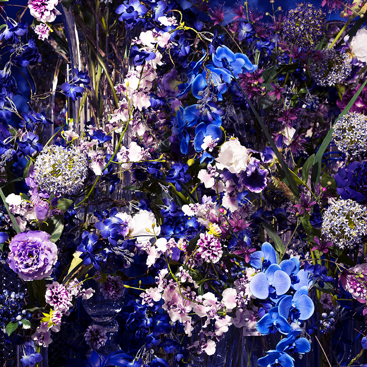 Tige d'orchidée oncidium artificielle H58 violet, SIA DECO
