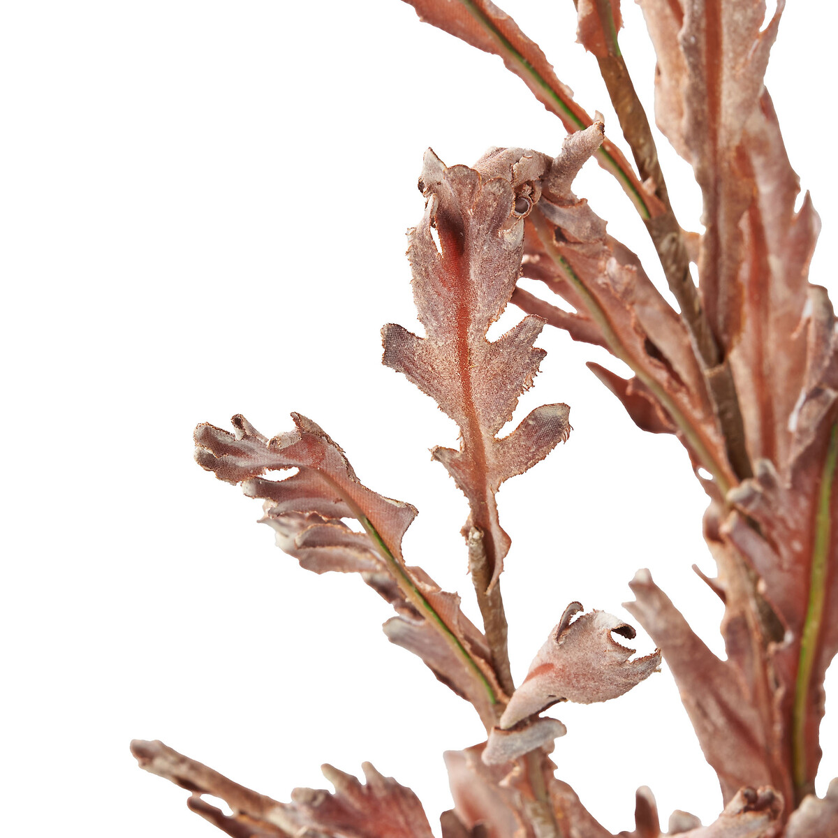Mulberry Brown Dried Flower Bunch brown , SO'HOME