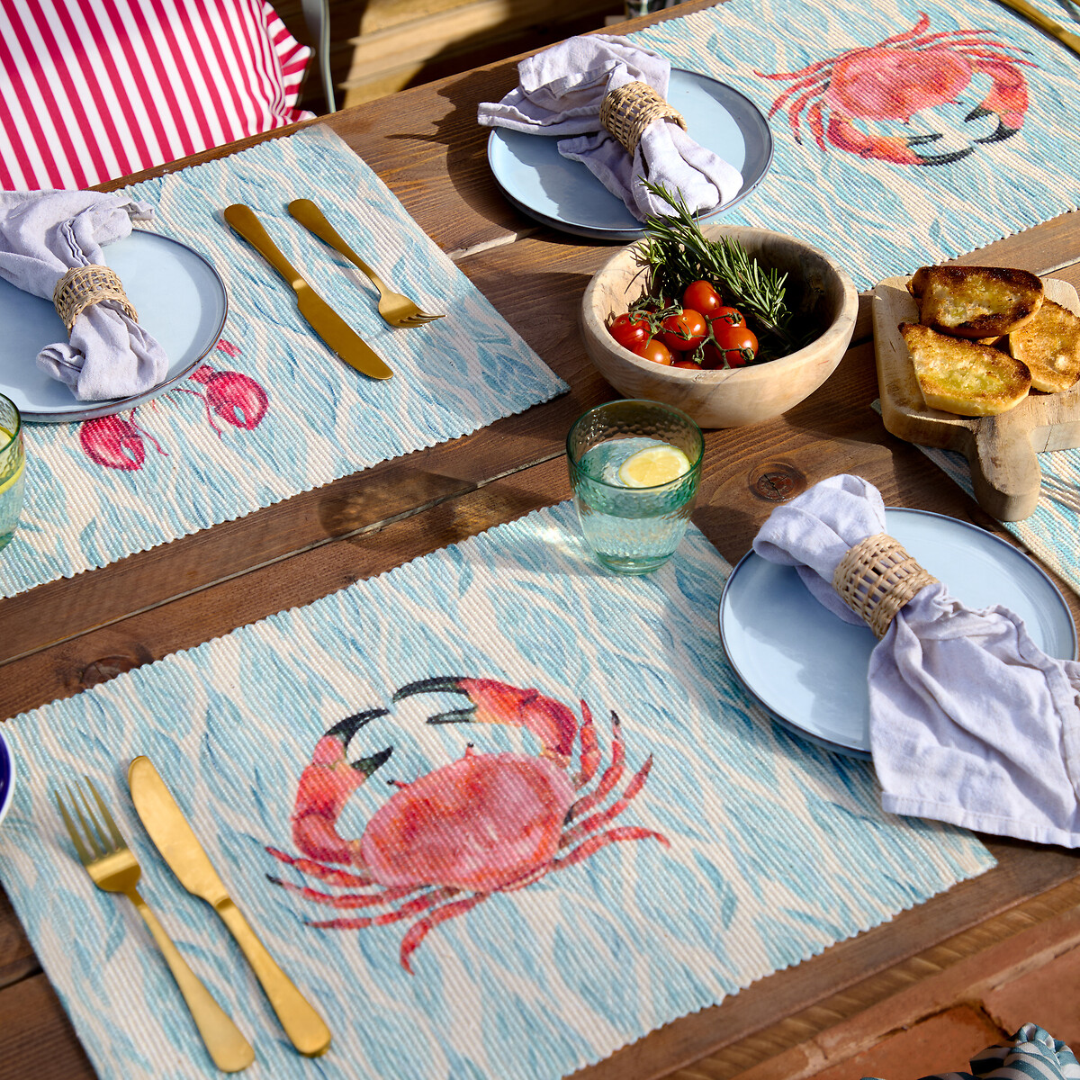 Set of 4 Abersoch Indoor/Outdoor Placemats aquamarine, WYLDER