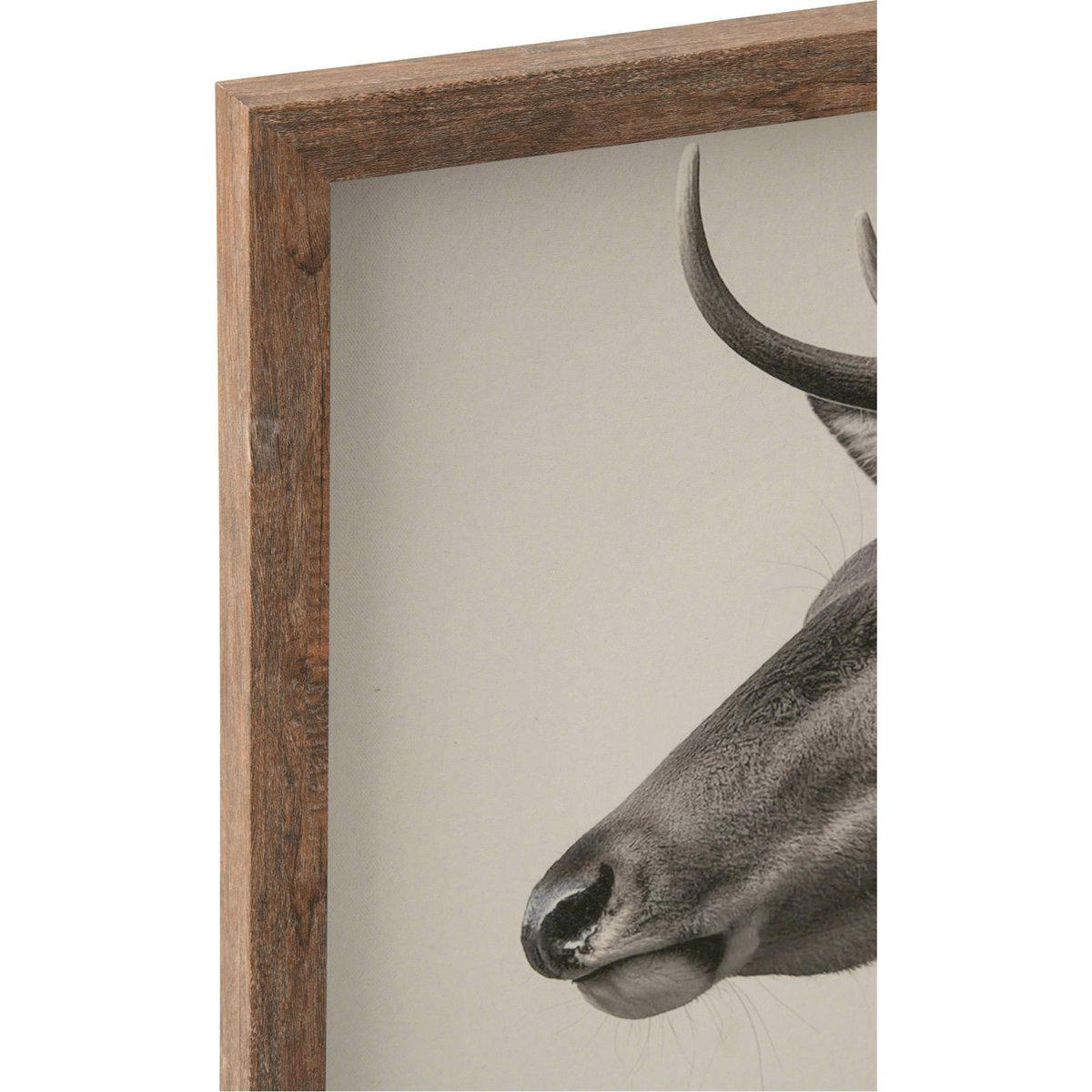 Tableau cerf encadré esprit chalet, Lot de 2 gris et marron, RECOLLECTION