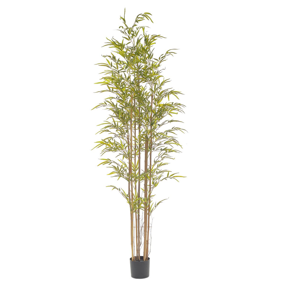 Planta artificial "Bambu" 210cm, BORGHESI verde, BORGHESI