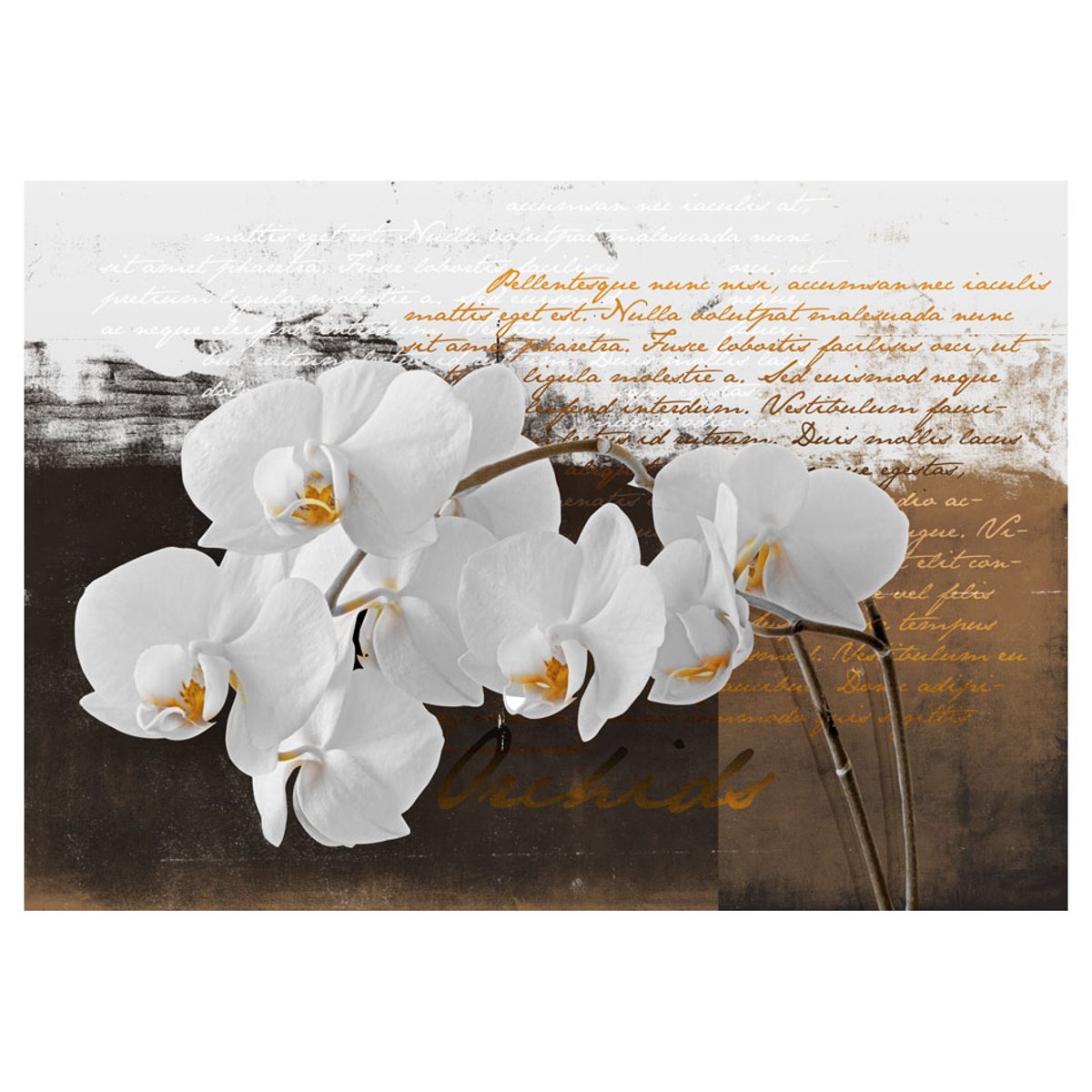Papier peint intissé panoramique Fleurs Sentimental thoughts beige, EDEN