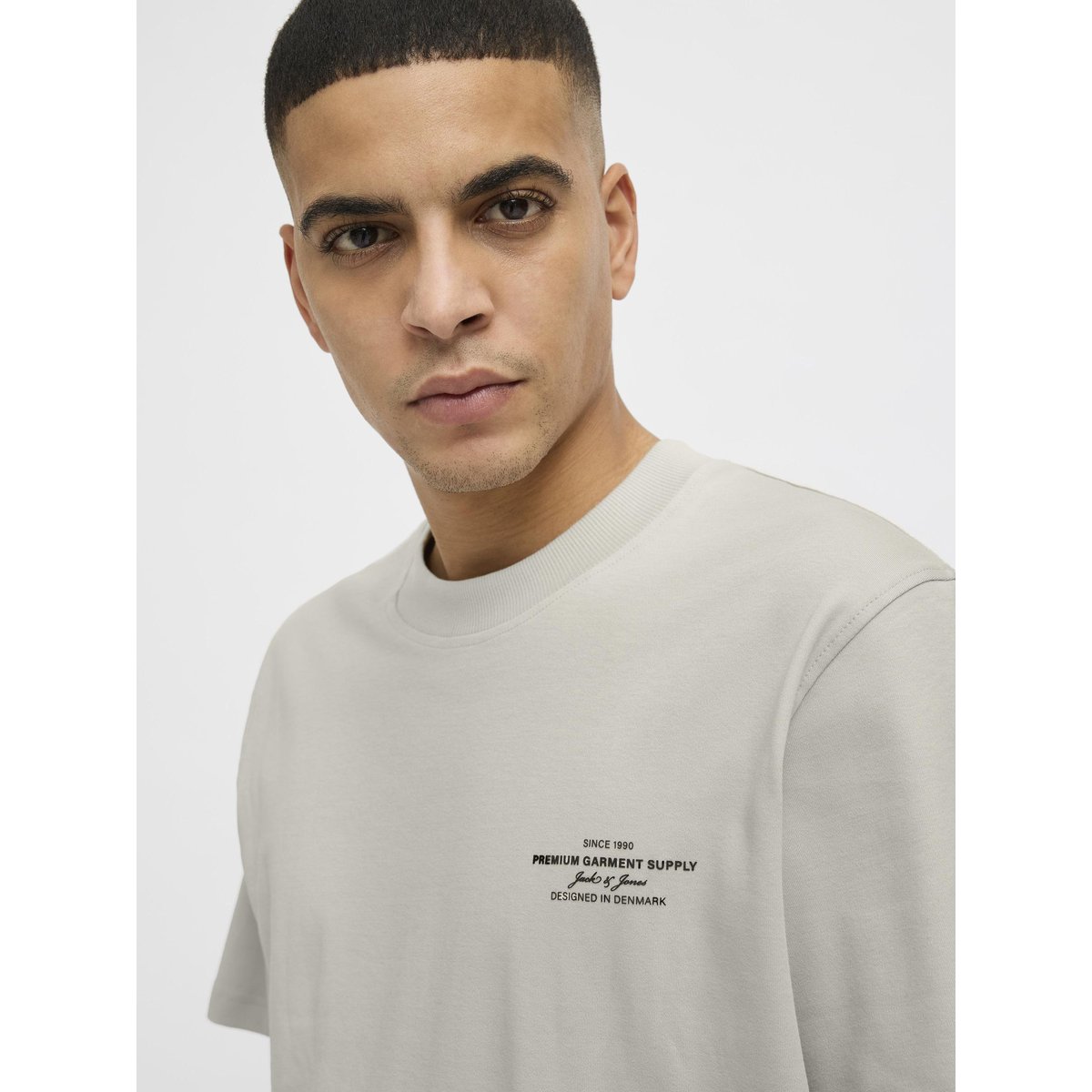 T-Shirt silver lining, JACK AND JONES PREMIUM