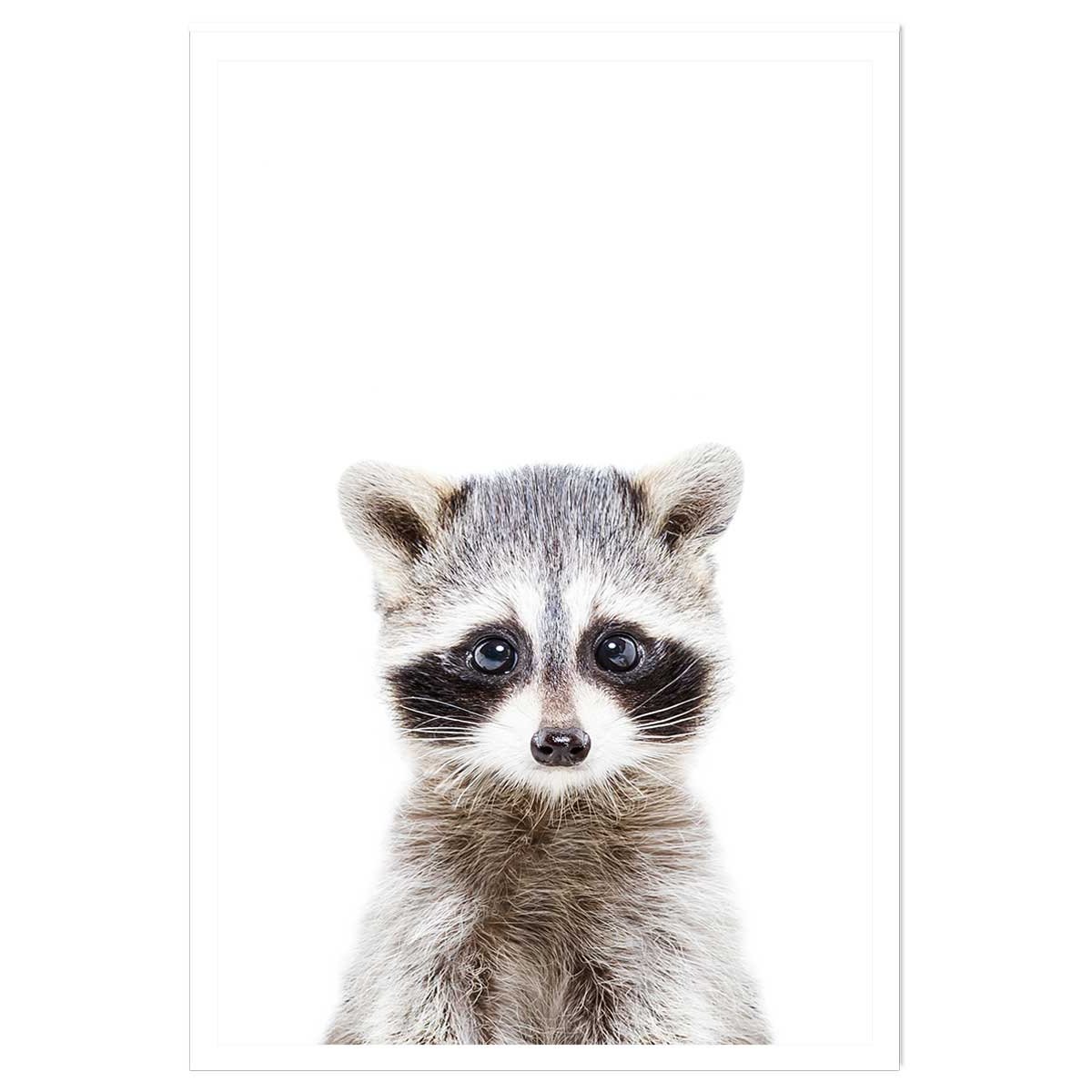 Affiche enfant bébé raton laveur affiche seule, HEXOA