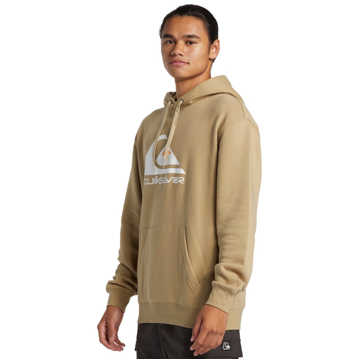 Sweat à capuche BIG LOGO beige twill, QUIKSILVER
