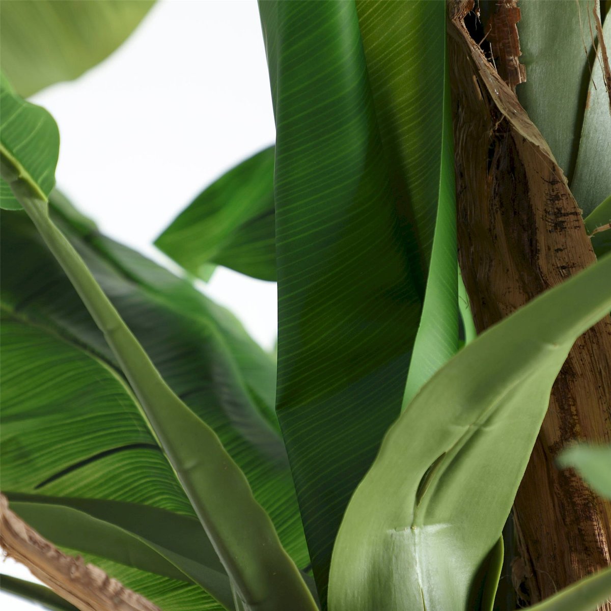 Plante décorative bananier, Pliable vert feuillage tropical et tronc marron, RECOLLECTION