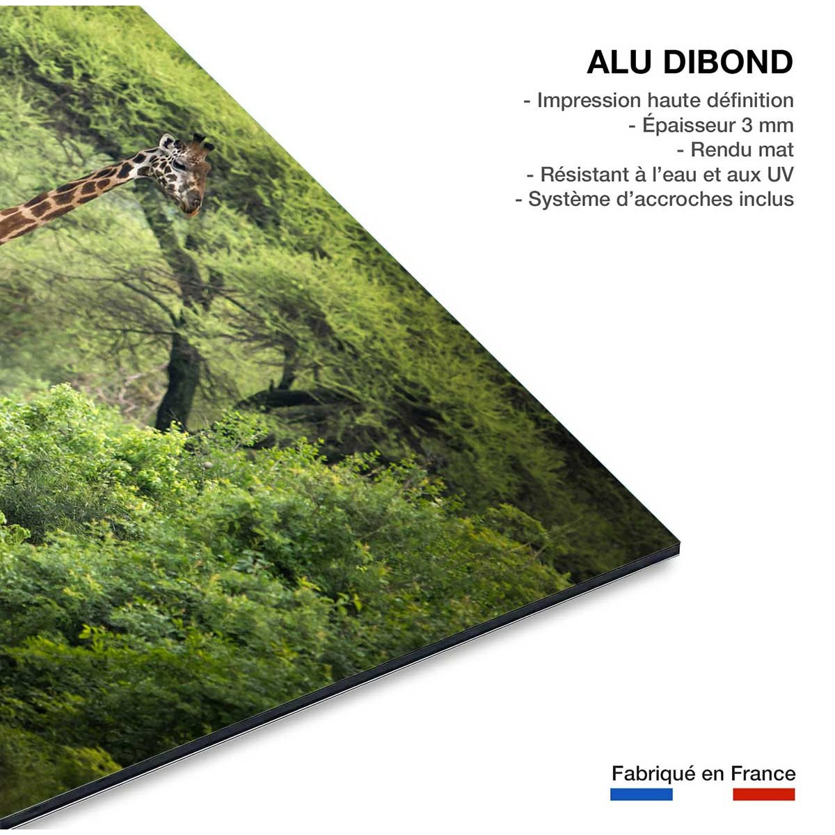 Tableau Girafe inattendue tableau alu dibond, HEXOA