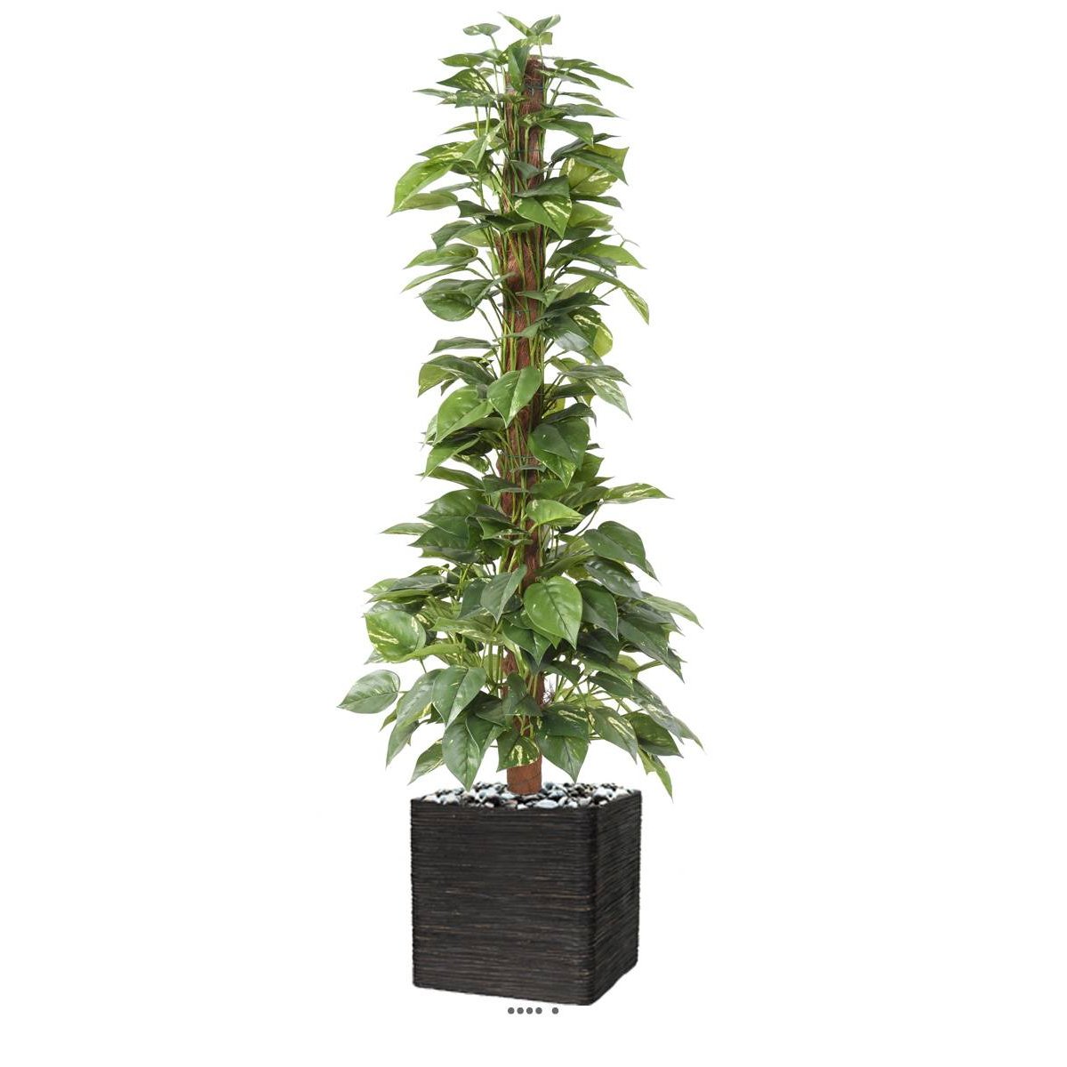 Pothos artificiel sur tuteur en pot vert, ARTIFICIELLES