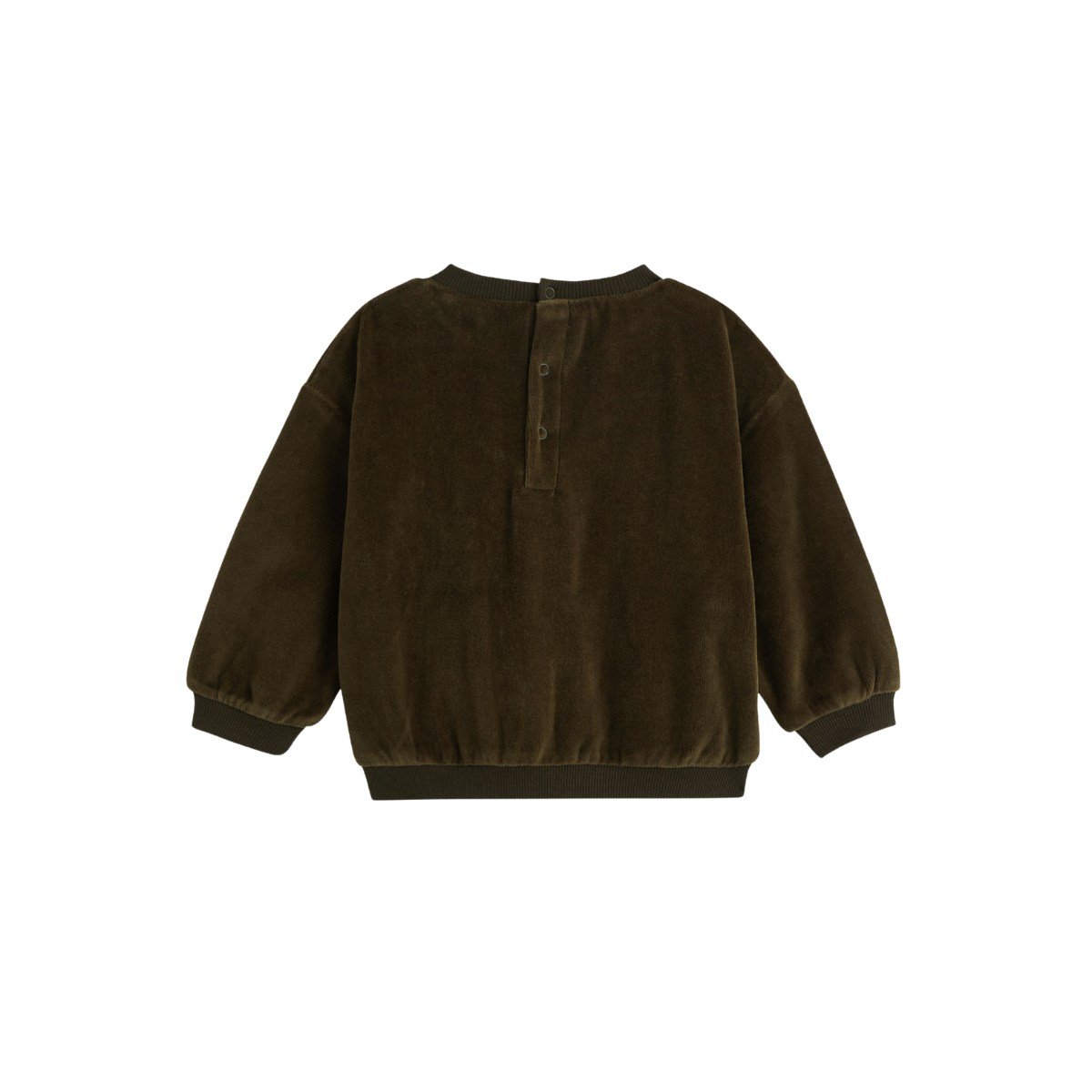 Sweat-shirt bébé en velours Ginkgo vert, PETIT BEGUIN