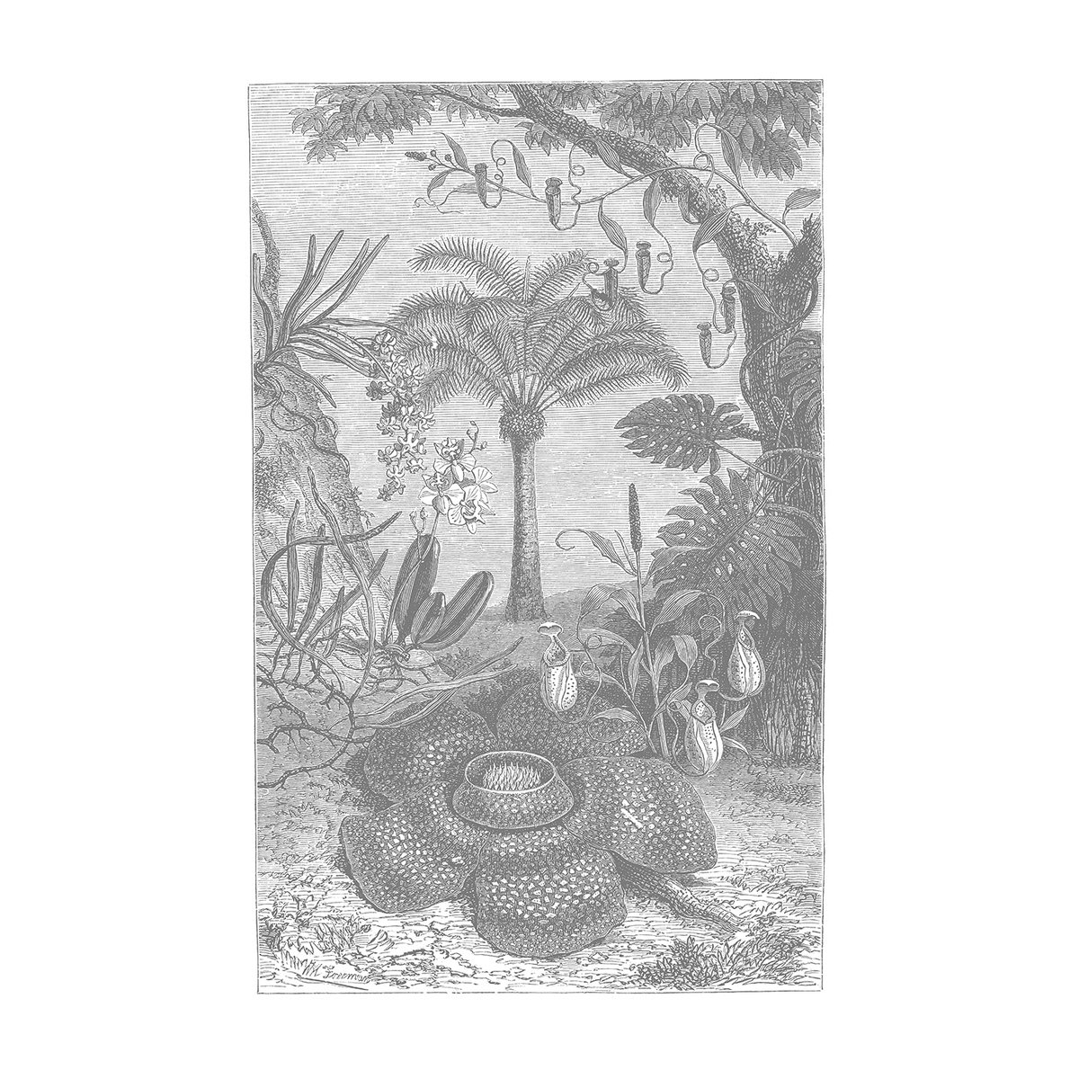 Papier peint panoramique Amabilis - motif botanique exotique 192x300 cm brun, LE PAPIERS DE NINON