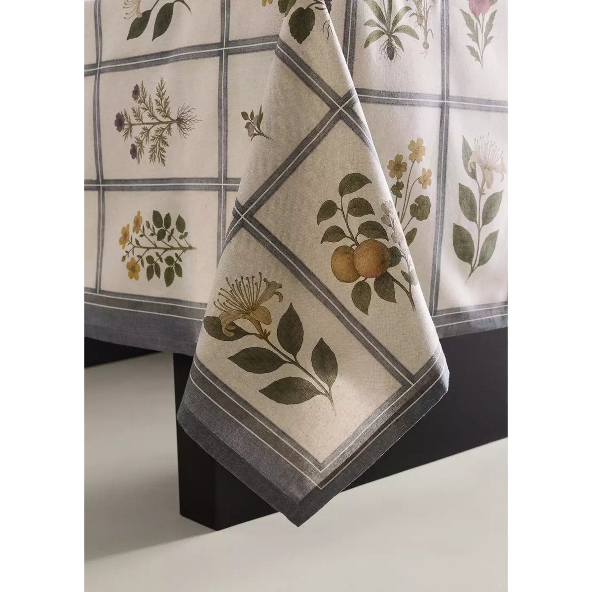 Serviettes de table en coton à imprimé herbier marron clair/pastel, MANGO HOME