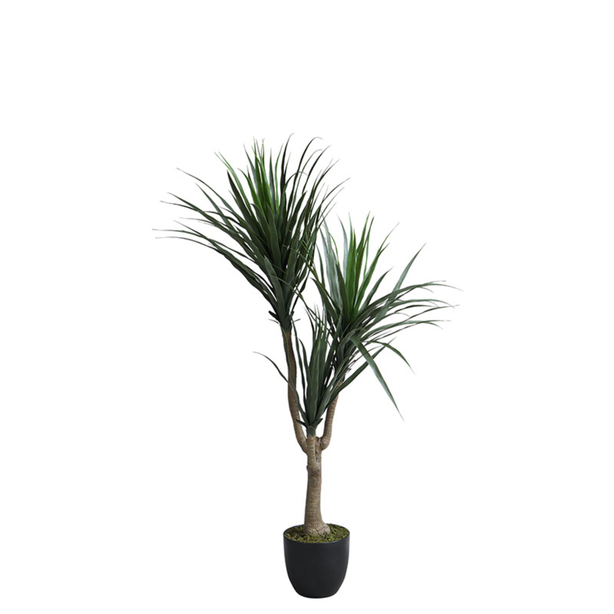 Dracaena en pot artificiel H119 vert, SIA DECO