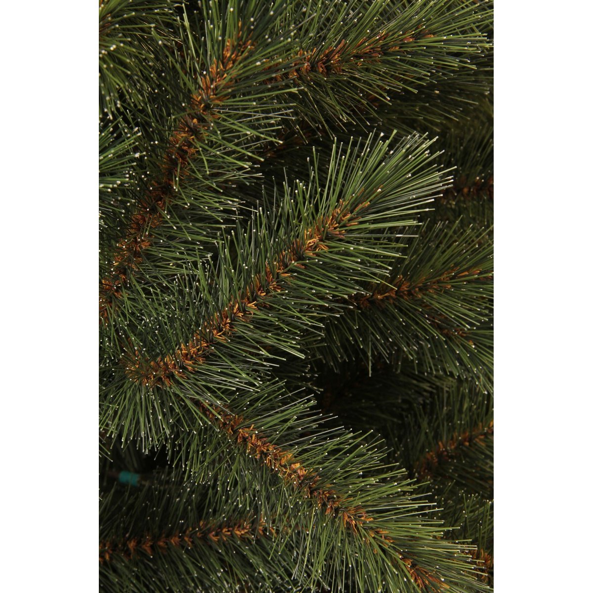 Sapin de Noël H215 cm TORONTO vert, BLACK BOX TREES