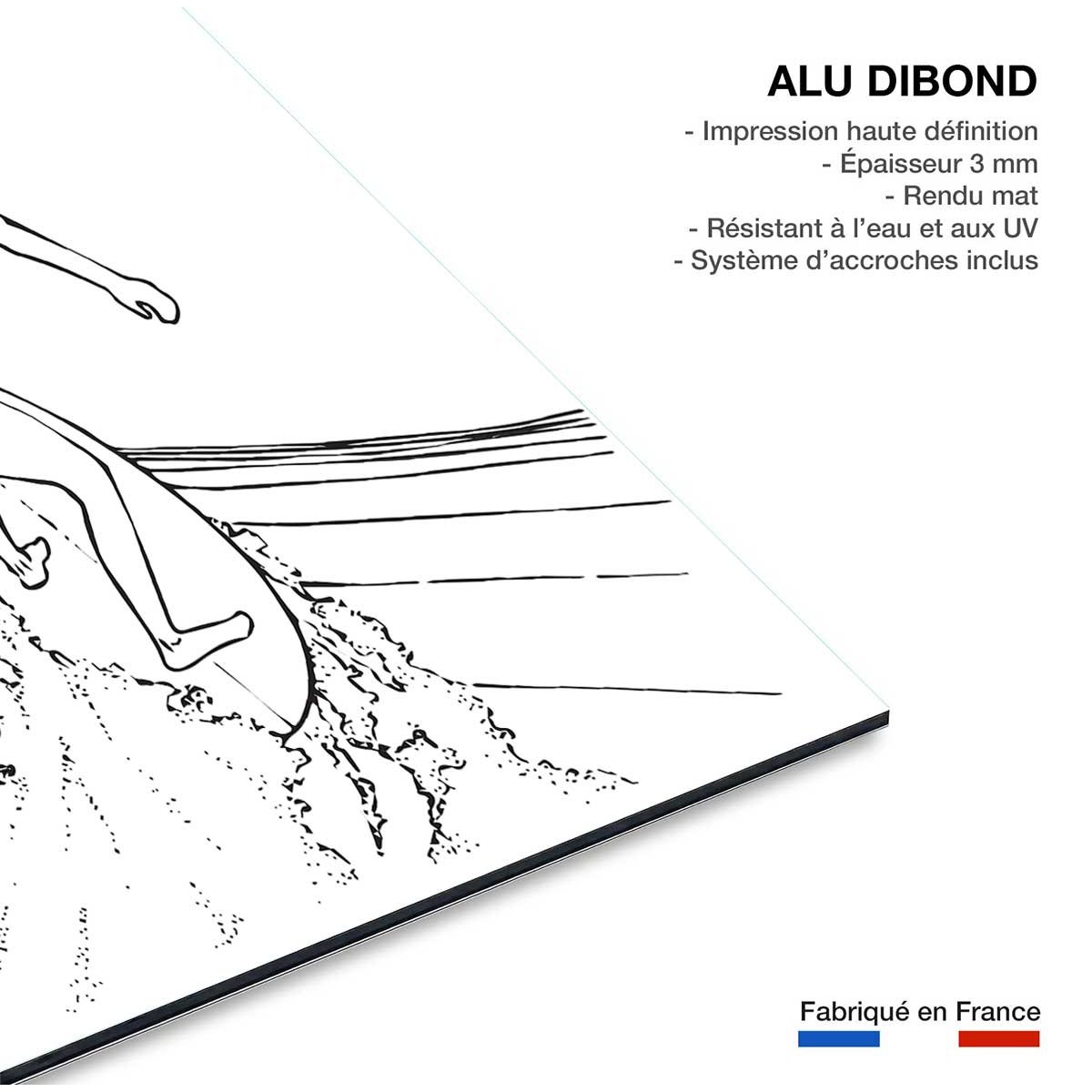 Tableau surfeuse tube tableau alu dibond, HEXOA