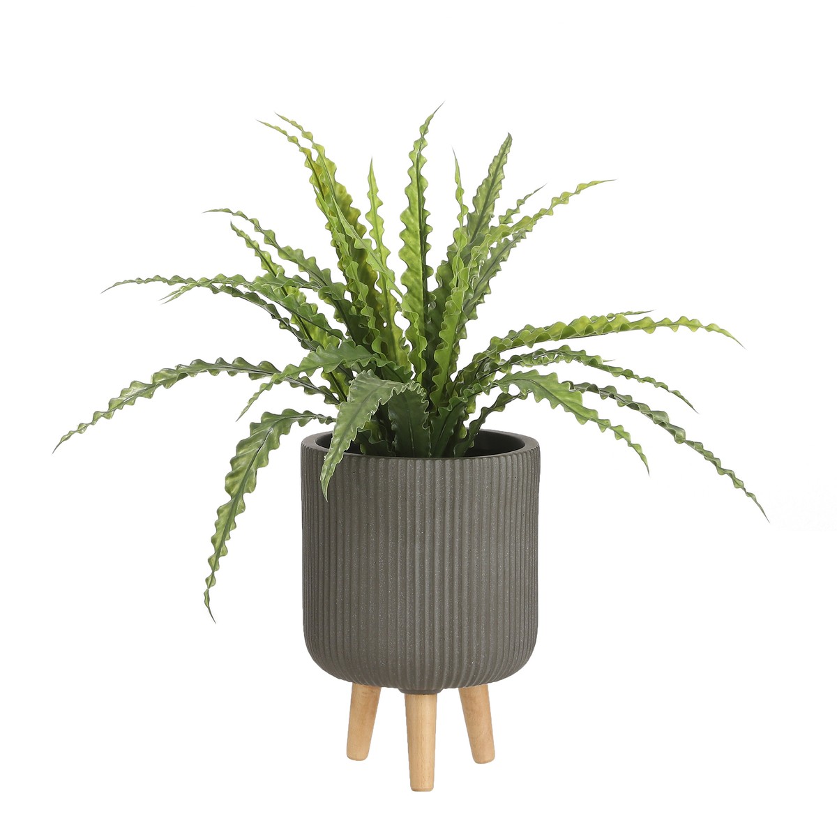 Plante artificielle ASPLENIUM vert, MICA DECORATIONS