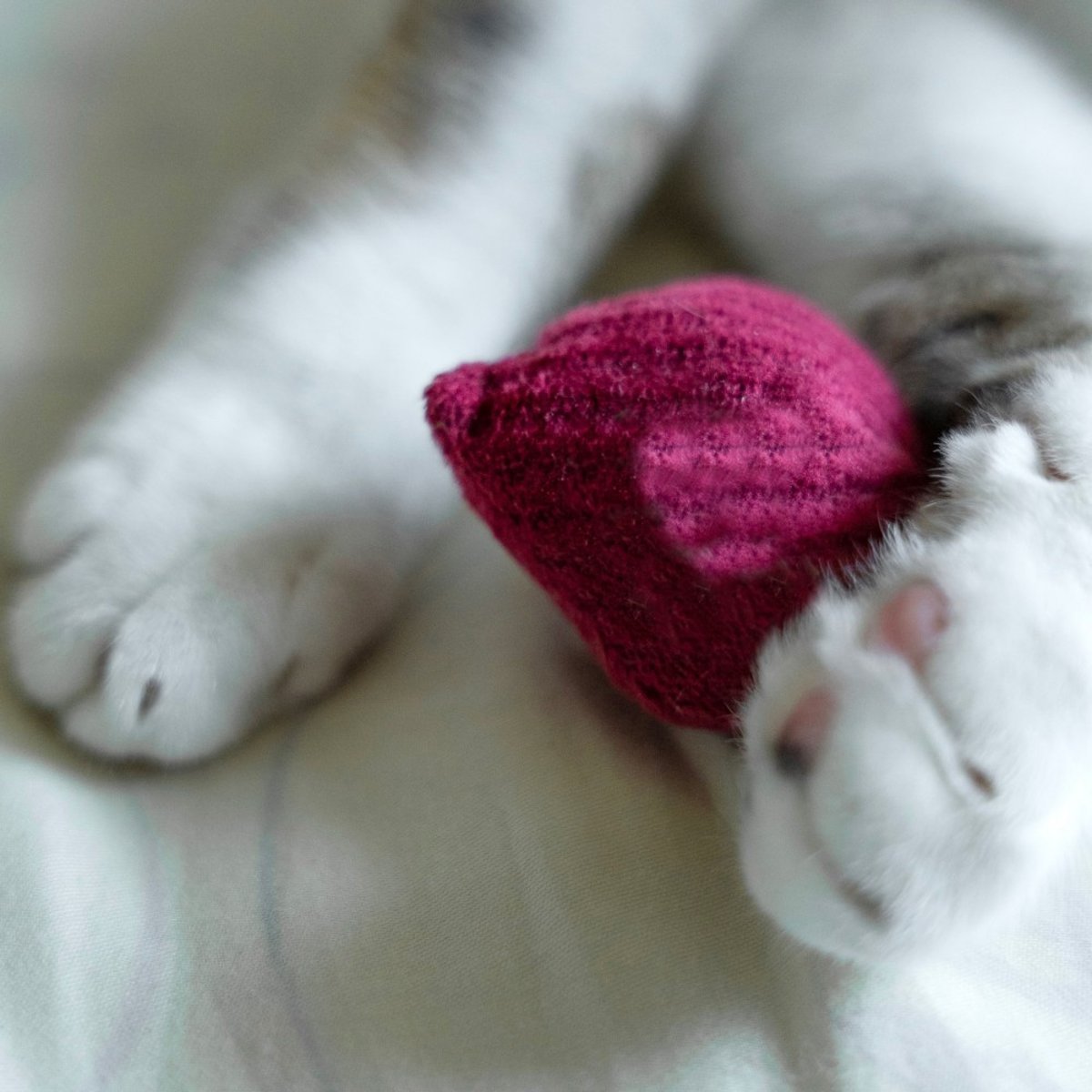 Jouet chat radis avec herbe à chat, KRAD rose cerise, LAMBWOLF COLLECTIVE