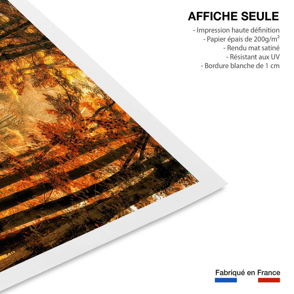 Affiche paysage magie de l' automne affiche seule, HEXOA