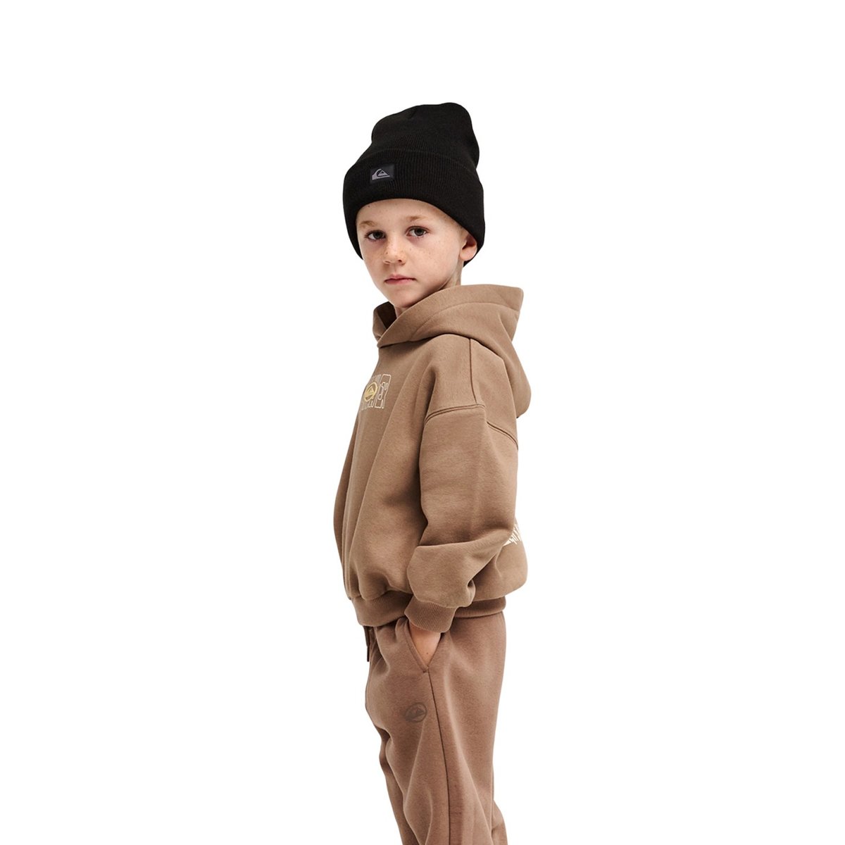 Sweat capuche TRICKS marron pine bark, QUIKSILVER