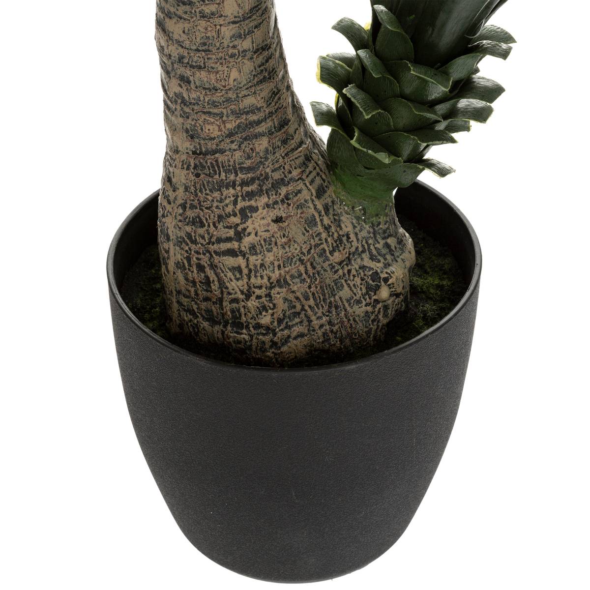 Yucca artificiel vert, ATMOSPHERA