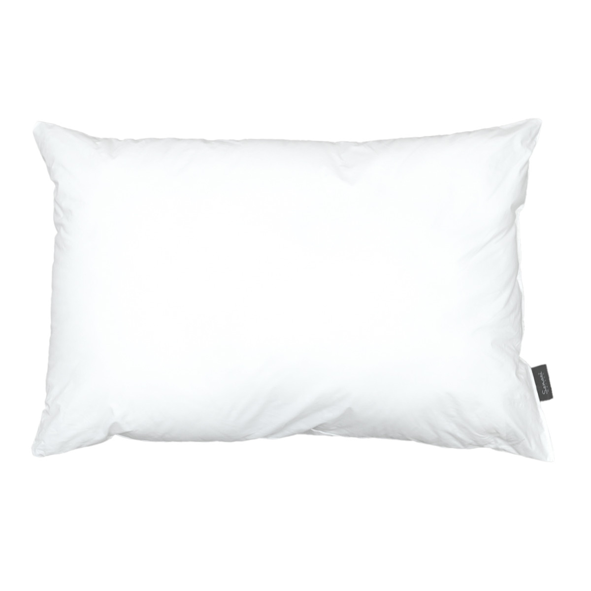 Oreiller en microfibre sensation duvet MUDHUN couleur unique, SENSEI MAISON
