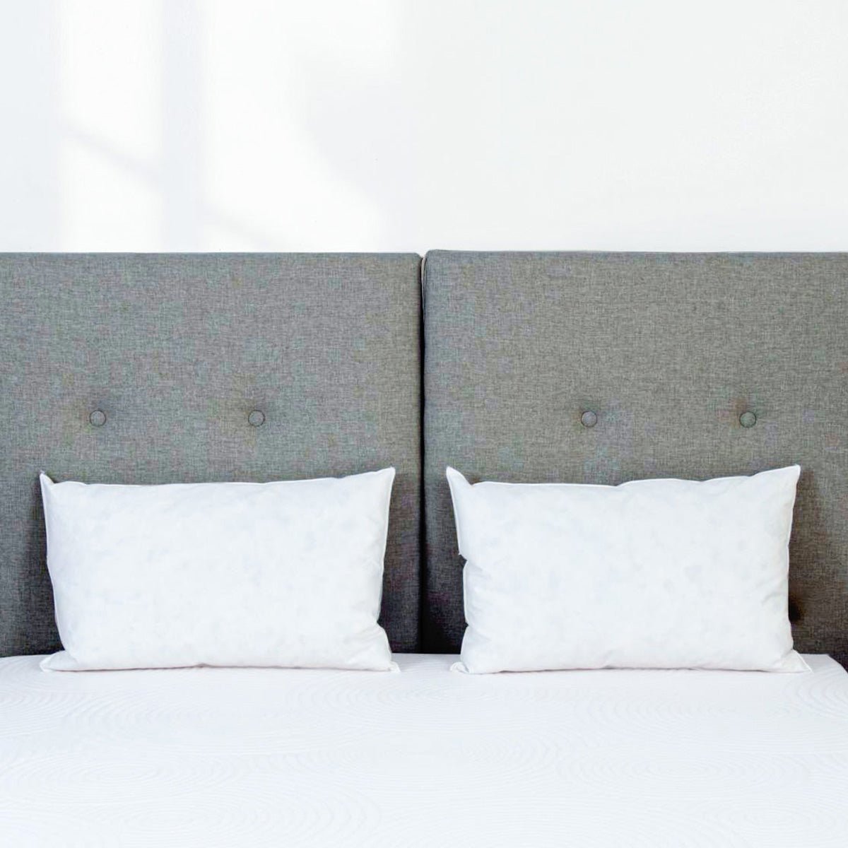 Oreiller Chambord 40x60 cm Duvet & Plumes blanc, BELLECOUR