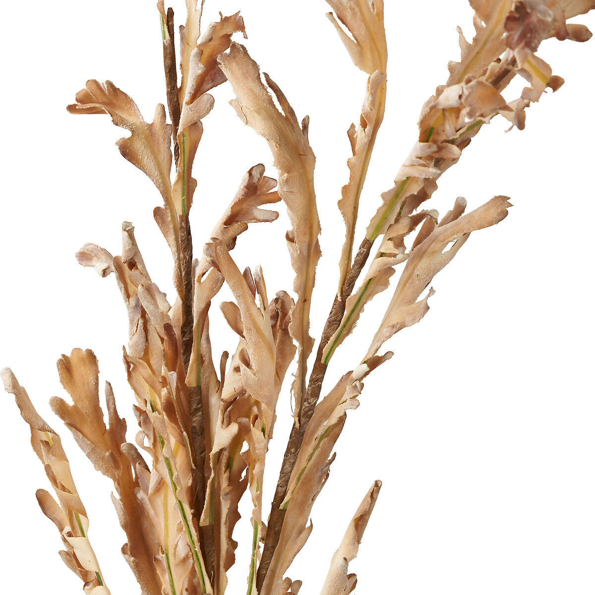 Set of 6 109cm Natural Apricot Autumn Leaf Stems natural, ÉDITÉ