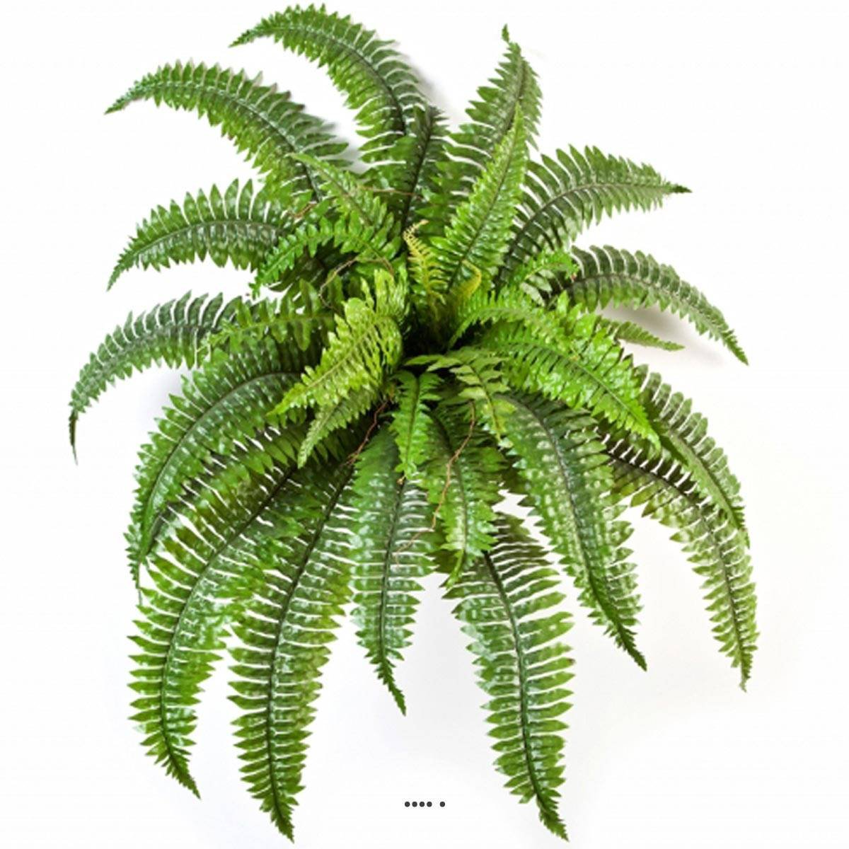 Fougère de Boston 34 feuilles D 75 cm artific vert, ARTIFICIELLES