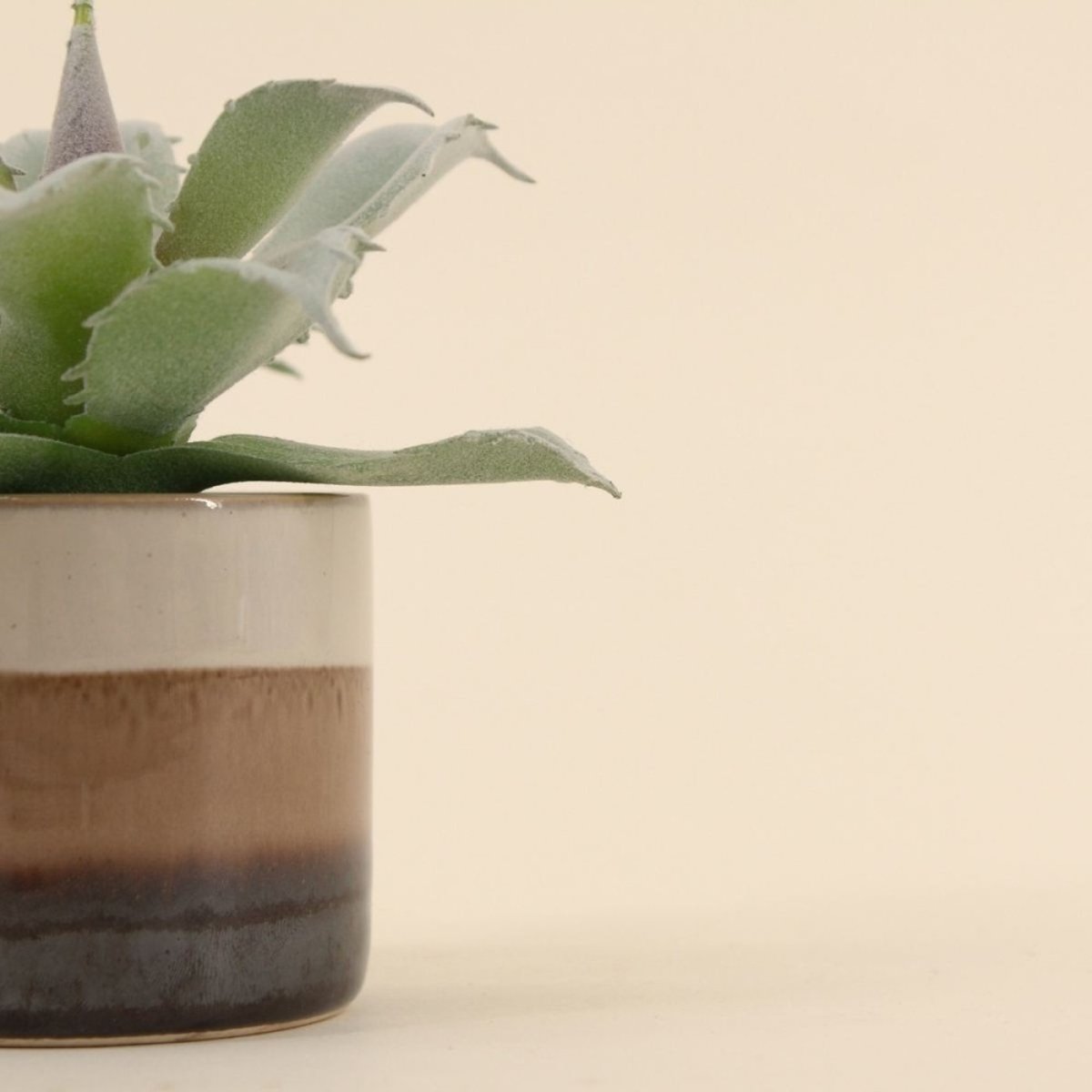 Plante grasse artificielle pot céramique rayé 12cm marron, ORNAMI