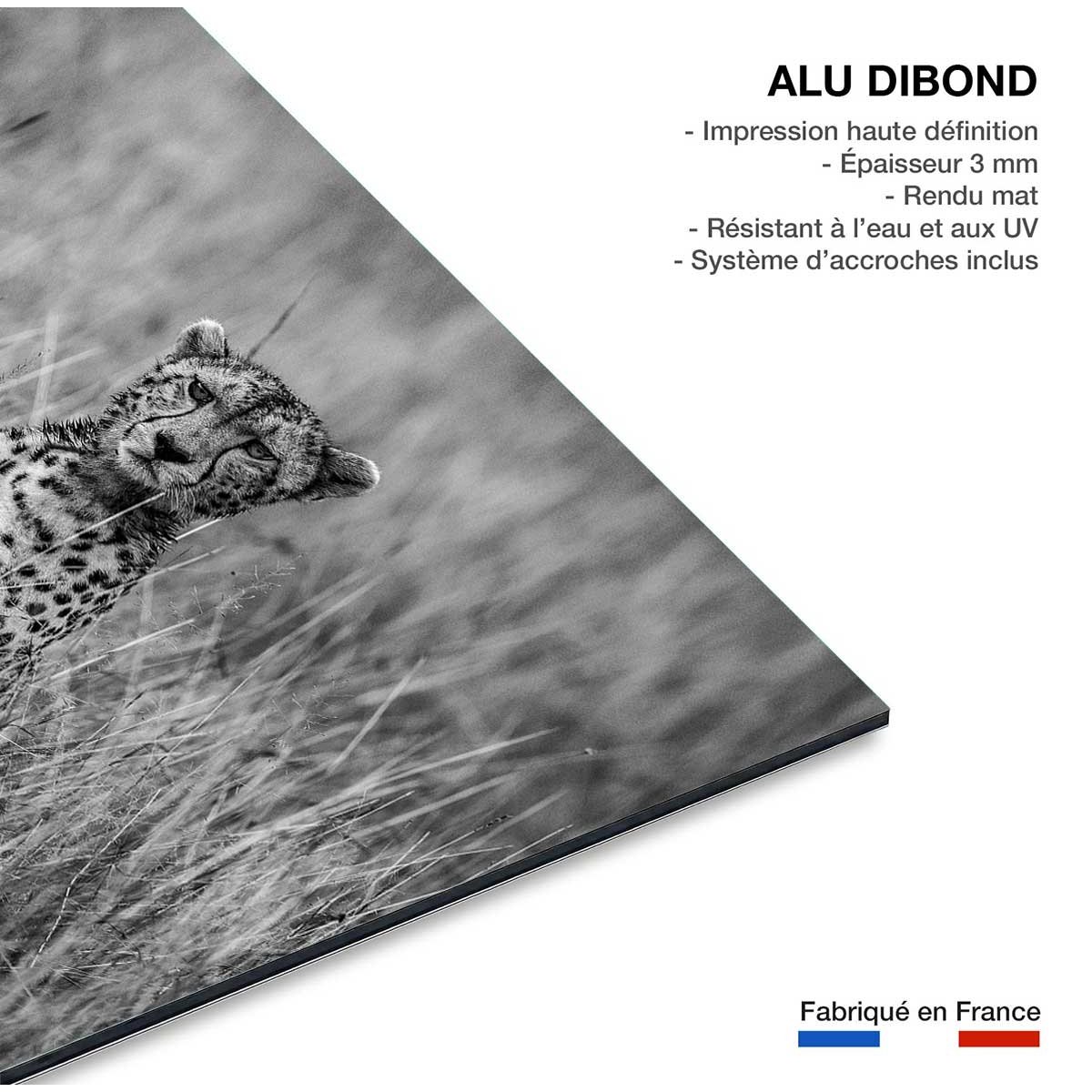 Tableau animaux Cheetah tableau alu dibond, HEXOA