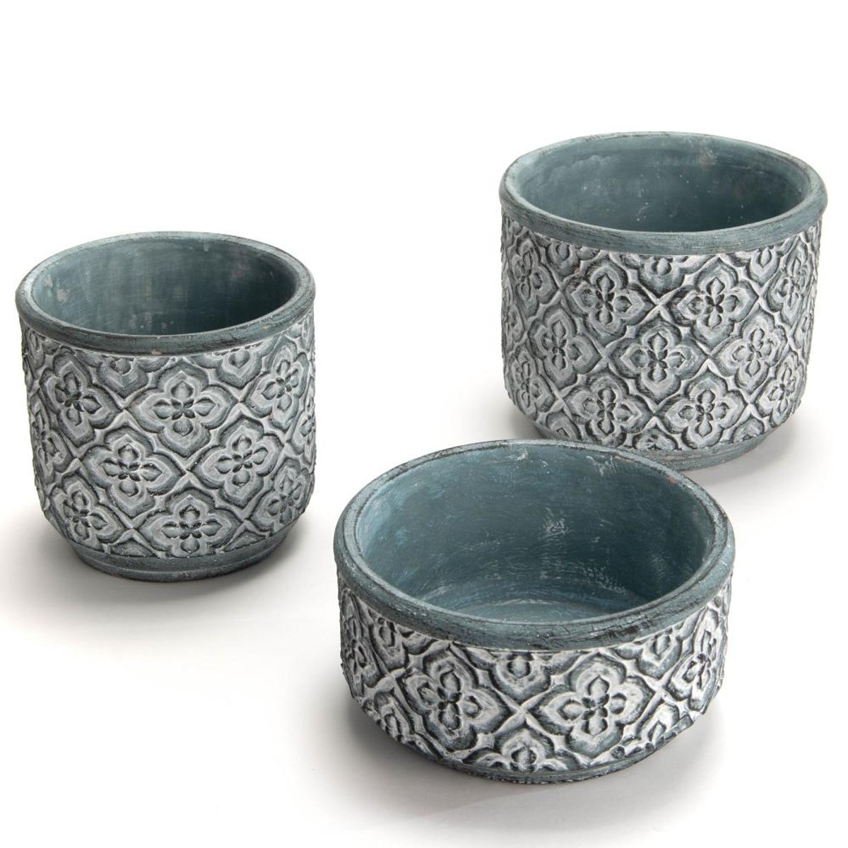 Coupe Jardin bleu, AMADEUS