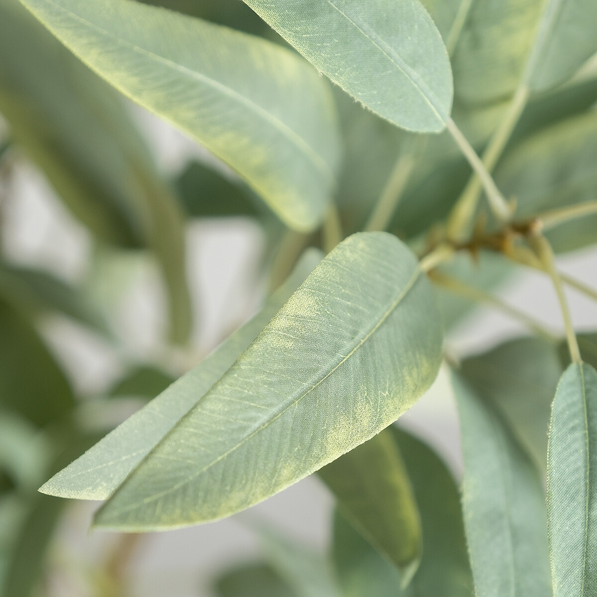 95cm Pack of 3 Artificial Eucalyptus Spray green, SO'HOME