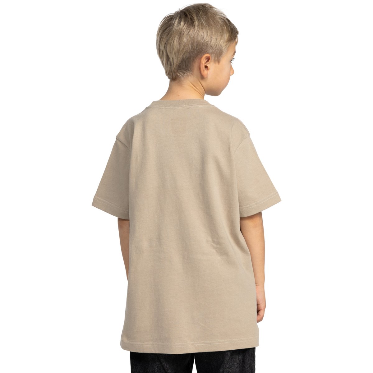 T-shirt à manches courtes METALLIC STAR. beige crockery, DC SHOES