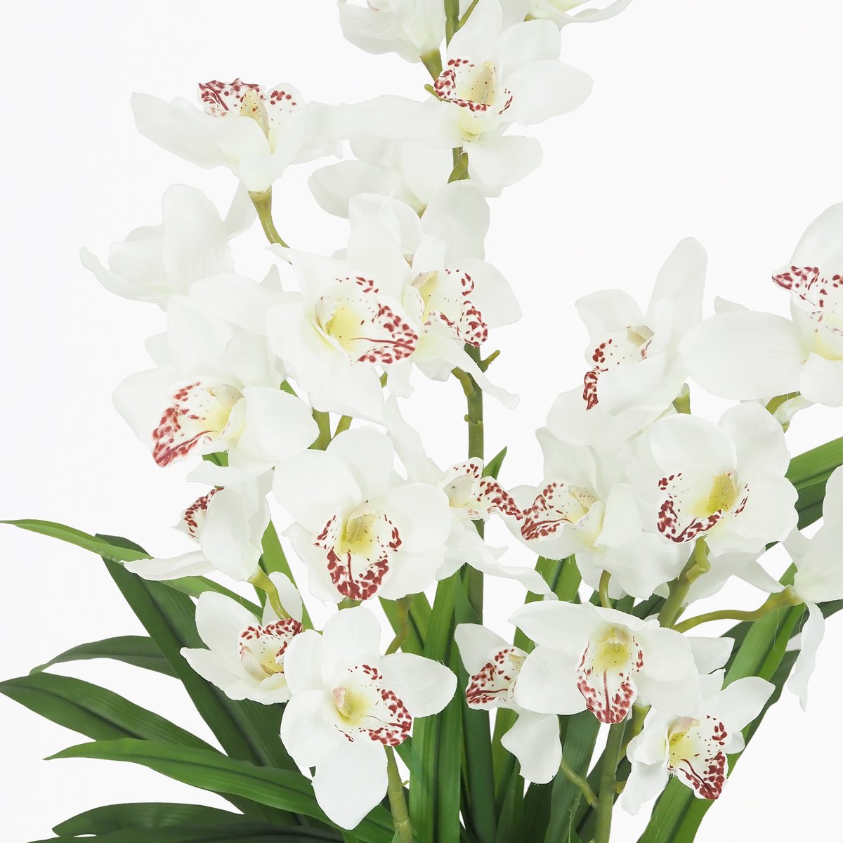Cymbidium artificiel 155cm blanc, LIGNE DECO