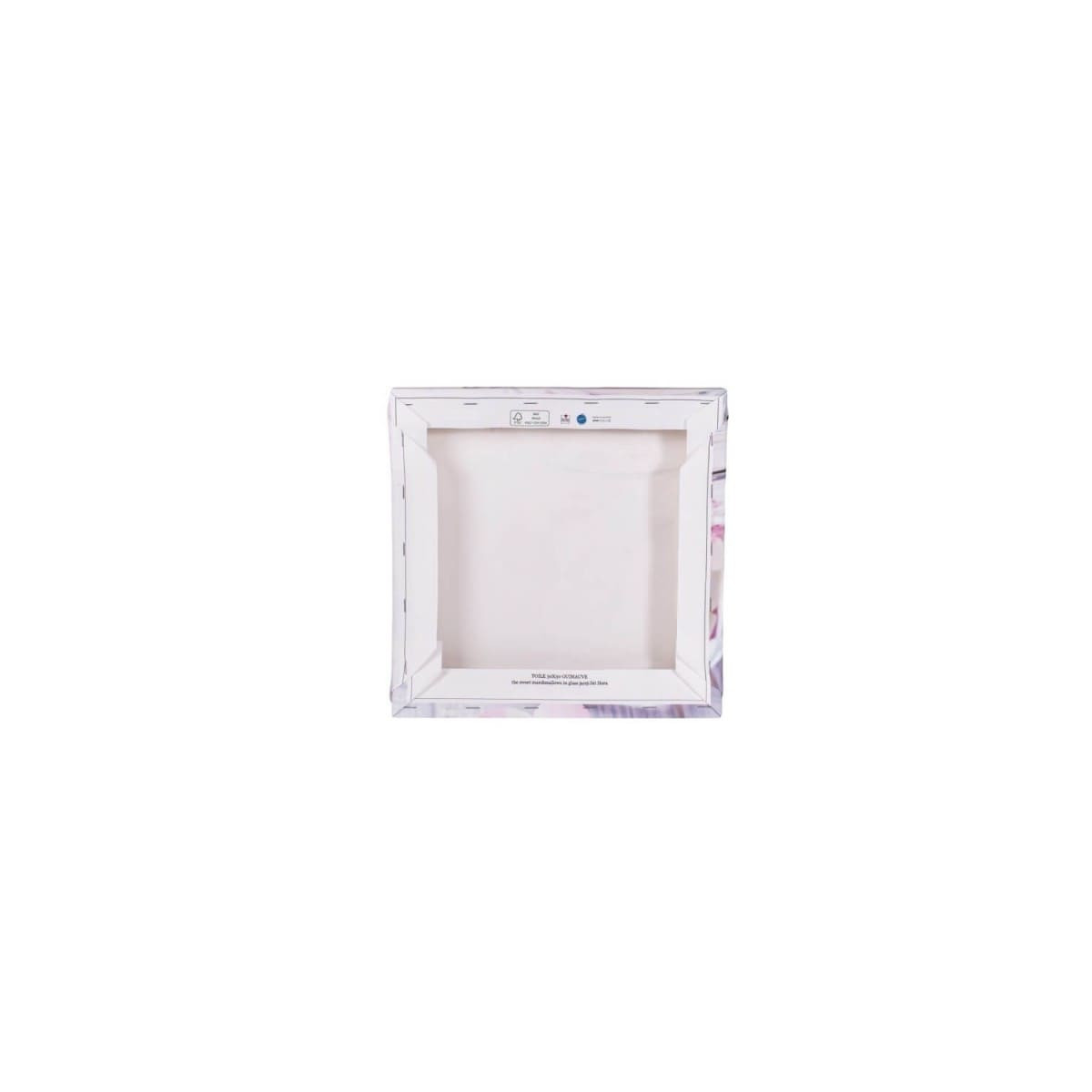 Tableau Sur Toile Douce Fleur Blanche FLEUR tableaux sur toile-blanc, CEANOTHE