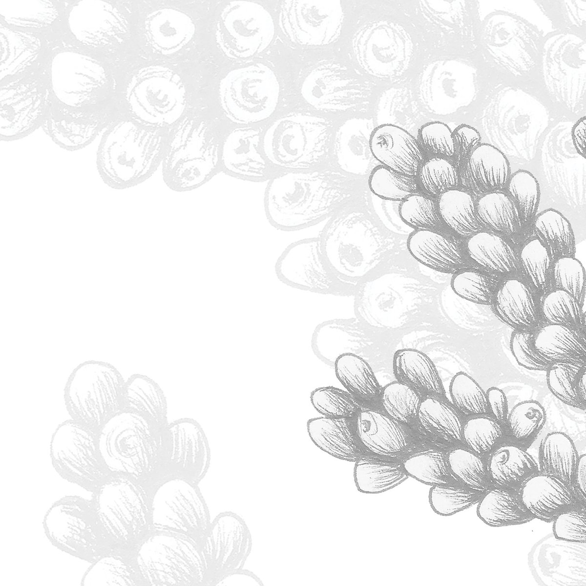Papier peint panoramique Corail, Beige 150 x 250cm gris, ACTE DECO