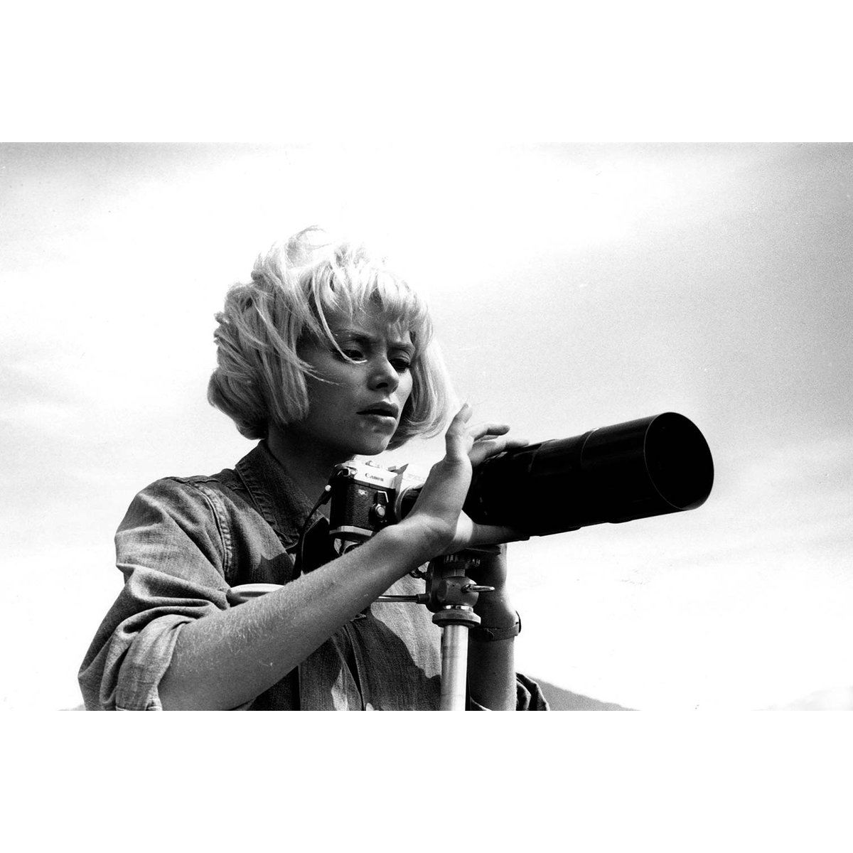 Tableau photo d'actrice de mireille darc en 1967 toile imprimée, HEXOA