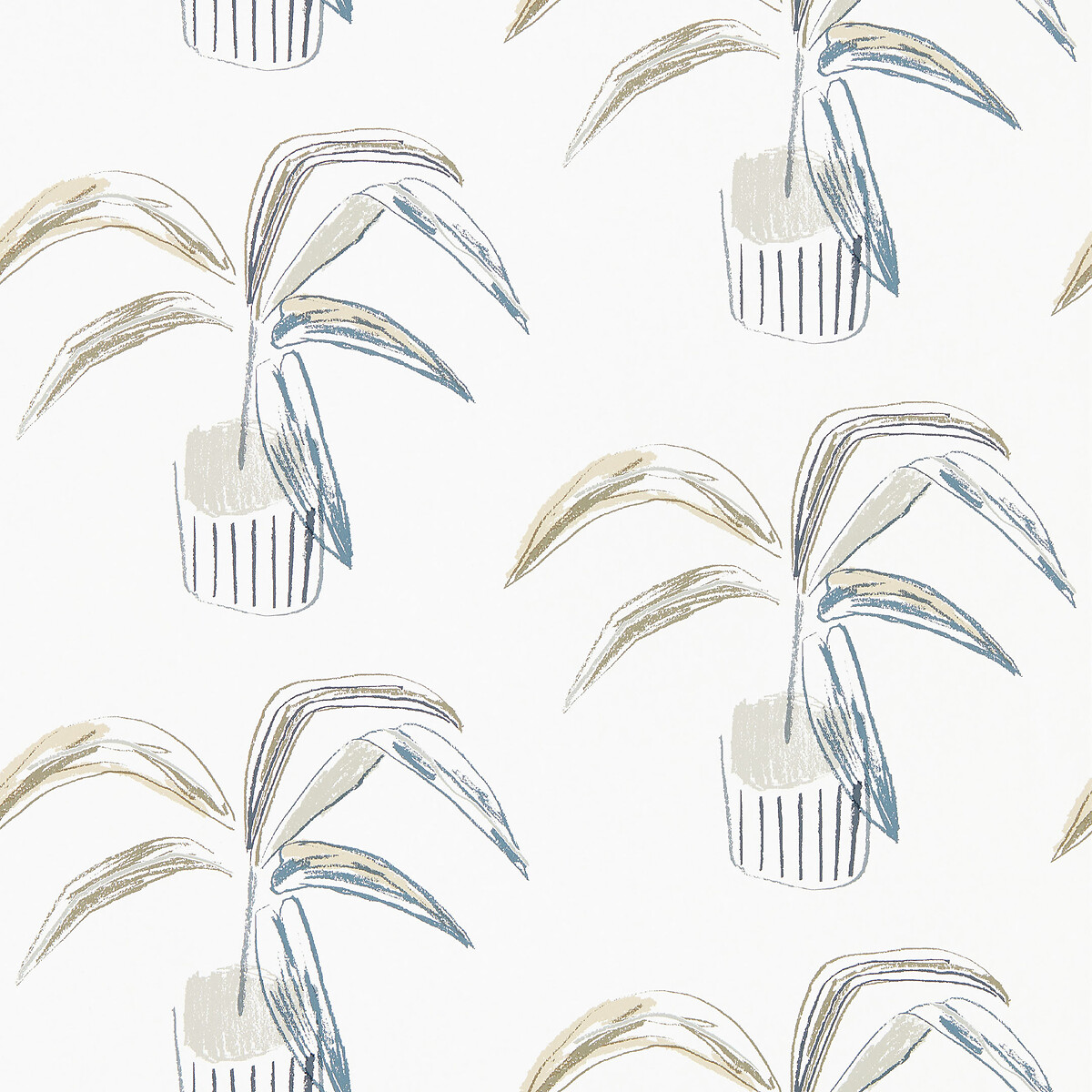 Crassula Wallpaper putty, SCION