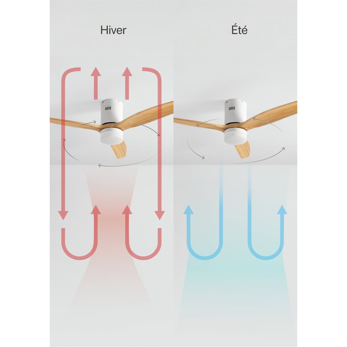 WIND CALM - Ventilateur de plafond 40W silencieux Ø132 cm 15W 100% bois couleur unique, CREATE