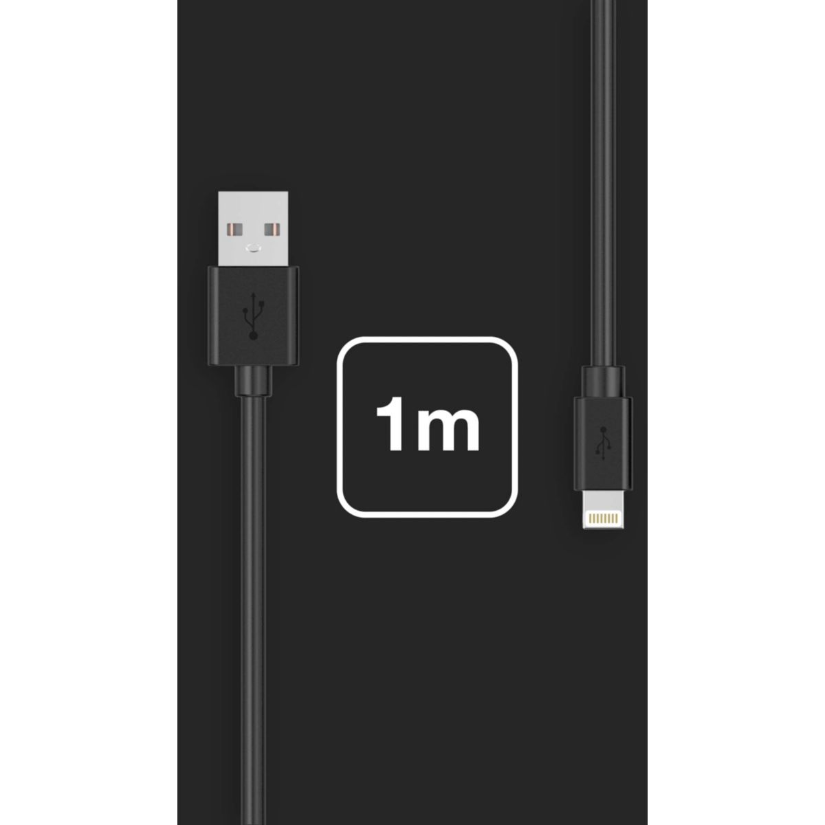 Câble Lightning vers USB 1M certifié Apple Noir couleur unique, ESSENTIEL B