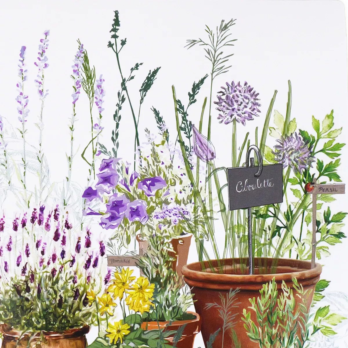 Set vinyle JARDIN AROMATIQUE provence, GARNIER THIEBAUT