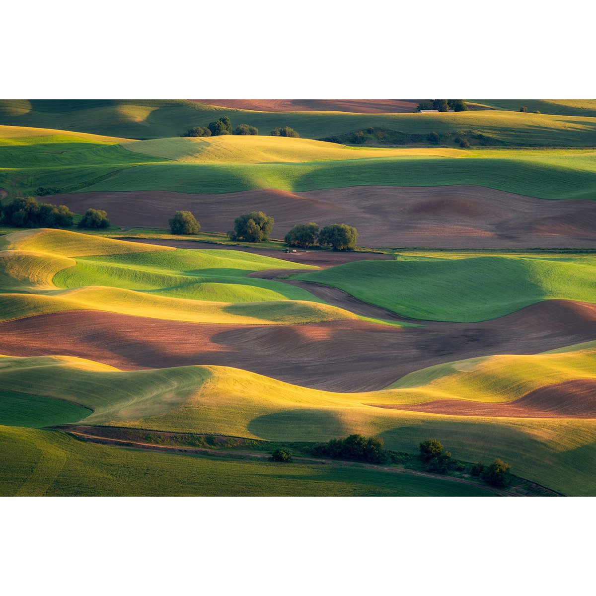 Tableau Colline colorée tableau alu dibond, HEXOA