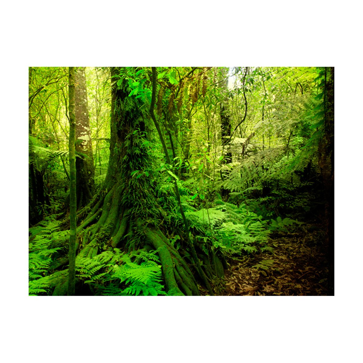 Papier peint intissé panoramique Paysage Jungle vert, EDEN