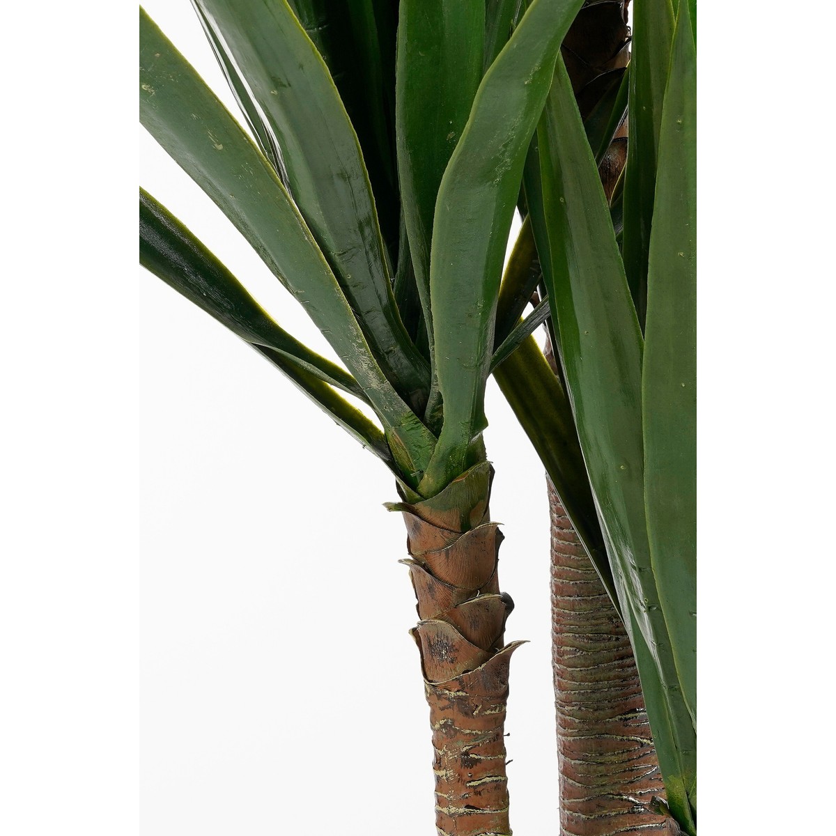 Plante artificielle YUCCA crème, MICA DECORATIONS