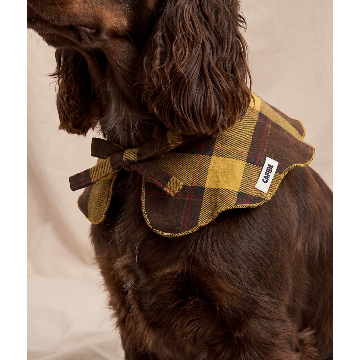 Bandana pour chien style col tartan moutarde, Lola jaune, CAFIDE