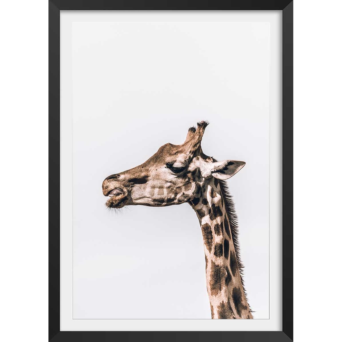Affiche animaux prendre de la hauteur affiche + cadre en bois - noir, HEXOA