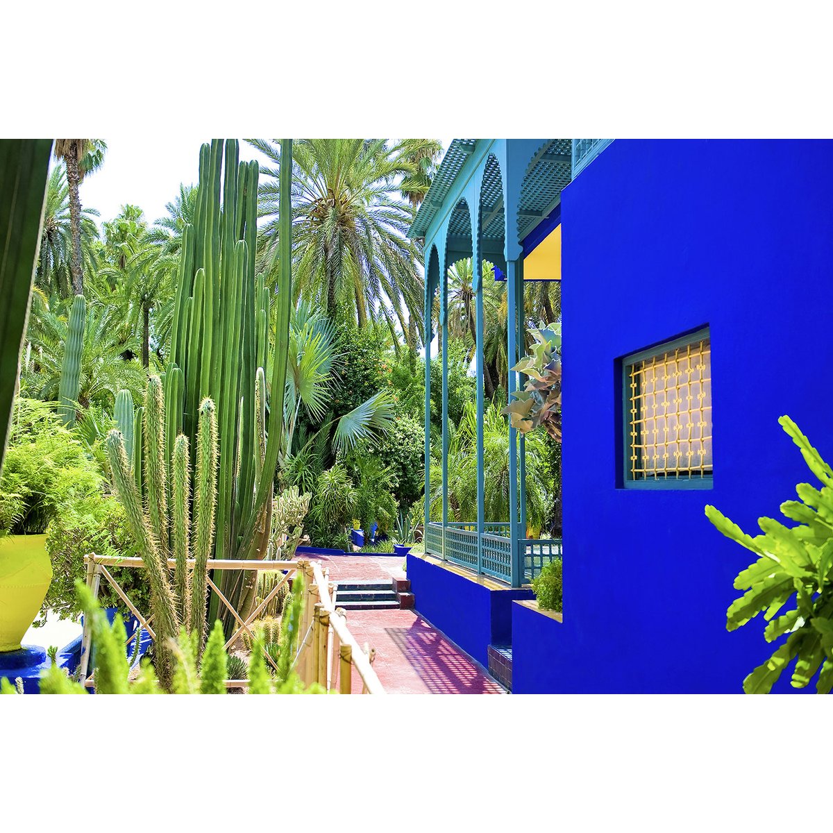 Tableau jardin majorelle tableau alu dibond, HEXOA