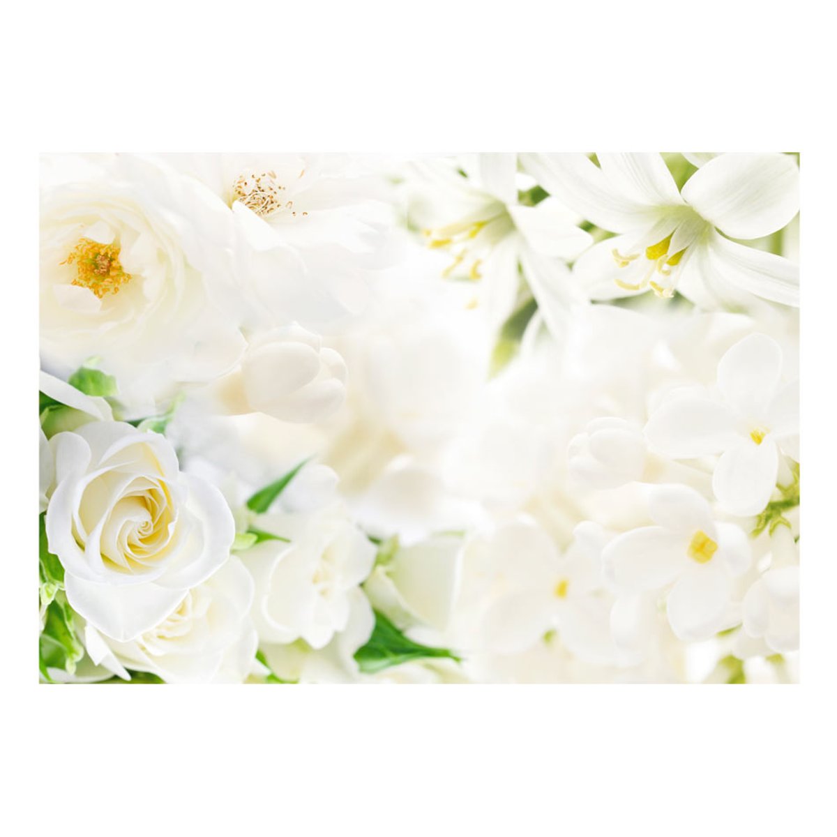 Papier peint intissé panoramique Fleurs White sigh vert, EDEN